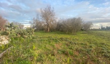 0322 - VTA - Muro Leccese - Terreno agricolo su strada centrale