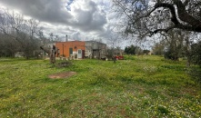 0524-VT - Muro Leccese - Terreno agricolo