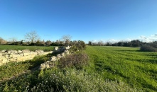 1424-VTA - Muro Leccese - Terreno agricolo