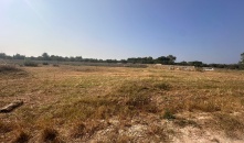 1225-VC - Muro Leccese - Terreno agricolo completamente recintato