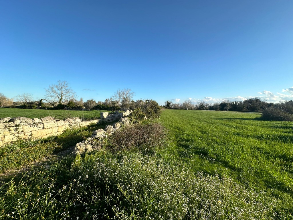 1424-VTA - Muro Leccese - Terreno agricolo