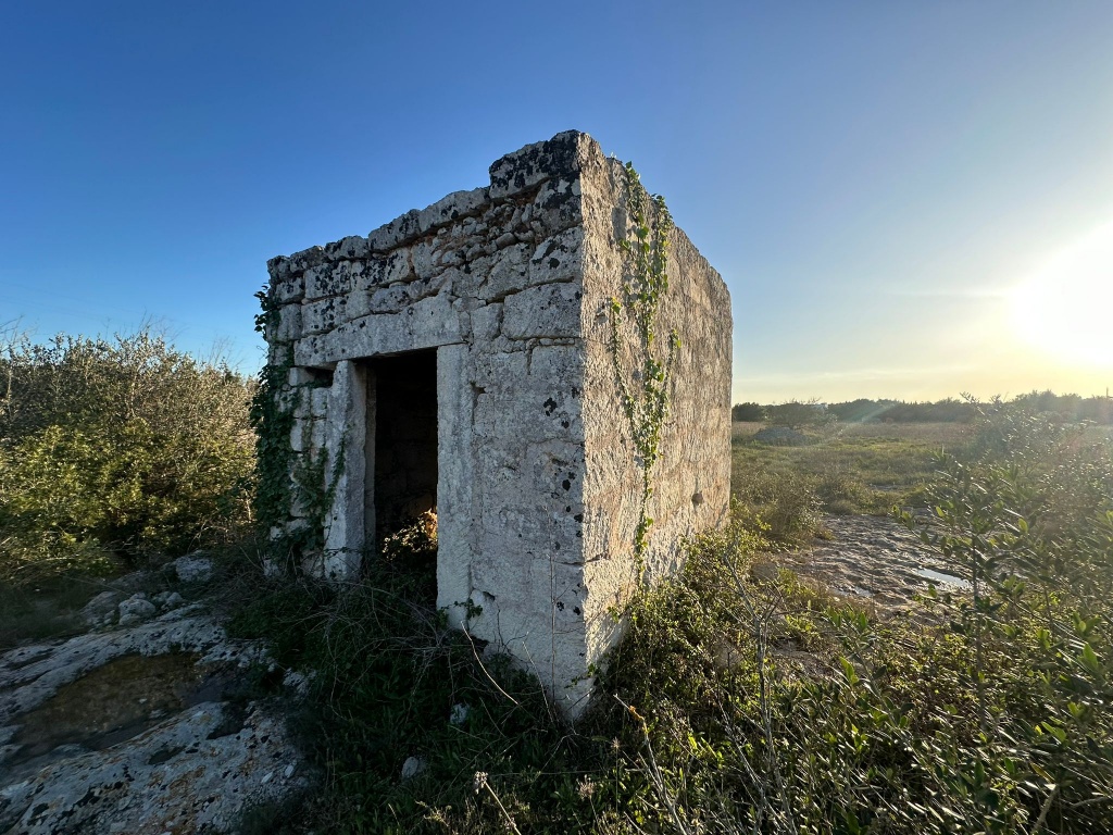 1524-VTA - Maglie - terreno agricolo